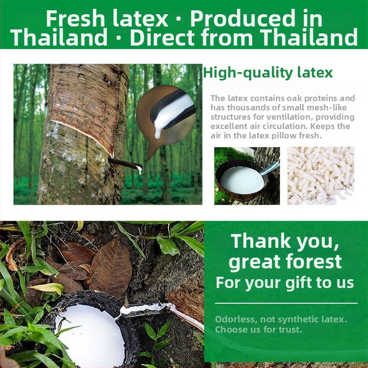 Latekso pagalvė, stačiakampė pagalvė suaugusiems, užpildas 95% natūralaus latekso, latekso turinys 90%+, Refined Rose