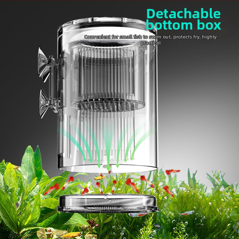 Plūduriuojanti akrilinė inkubavimo dėžutė reprodukcijos izoliacijai