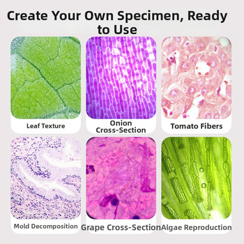 Laste mikroskoop 3-ühes, kompaktne hariv mänguasi, plastmassist, DIY-sõbralik, värvilises kastis pakendatud, mõeldud 4–6-aastastele, bioloogia/keemia (plastmass; DIY; värviline kast; 4–6 a.; bioloogia/keemia)