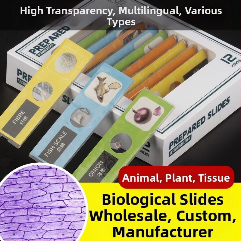 Σετ πλαστικών βιολογικών παρασκευασμάτων για εκπαίδευση μικροσκοπίου, DIY, 12 κουτιά, για ηλικίες 7–14 ετών
