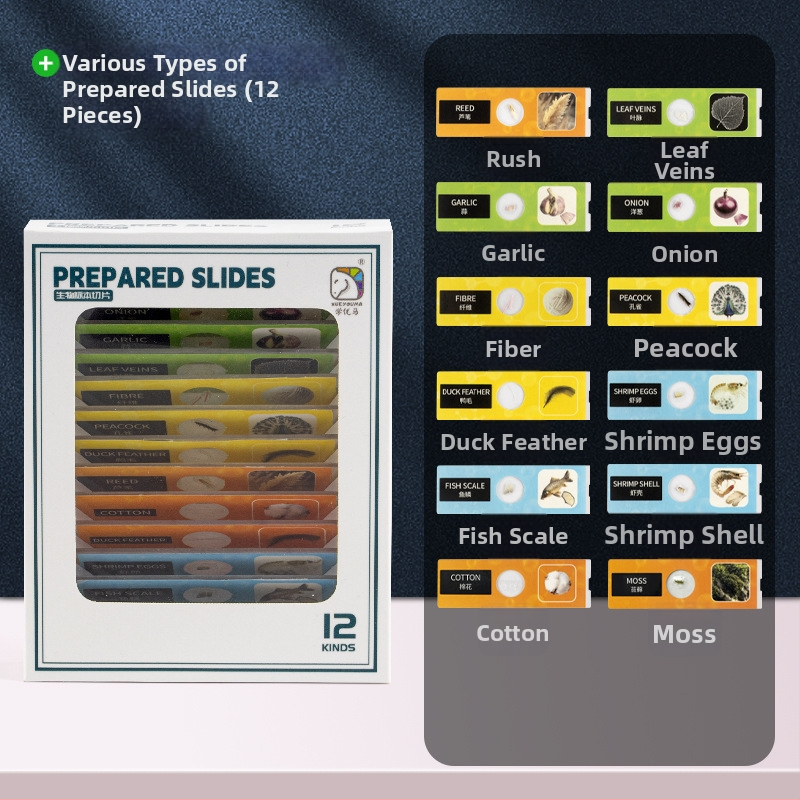 Σετ πλαστικών βιολογικών παρασκευασμάτων για εκπαίδευση μικροσκοπίου, DIY, 12 κουτιά, για ηλικίες 7–14 ετών