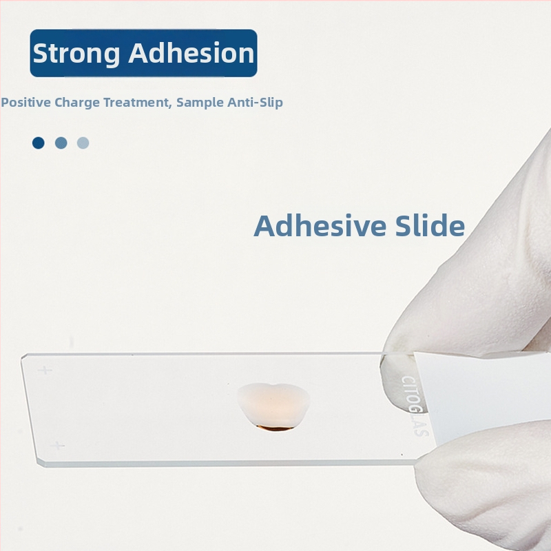 Shitai παθολογικού επιπέδου γυάλινο σλάιντ μικροσκοπίου με κολλητικό επίχρισμα για επίστρωση αίματος; ultra-white γυαλί, μοντέλο Pathological level, ανοχή 0.0005 mm