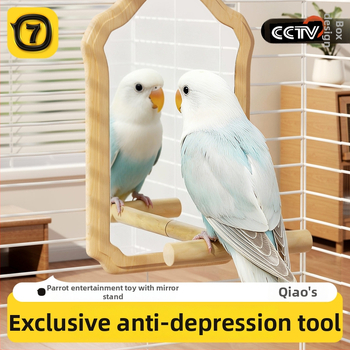 Papūgos veidrodžio žaislas su mediniu stovu (Anti evazijos dizainas, Be ritinių, Paukščiams)