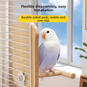 Papūgos veidrodžio žaislas su mediniu stovu (Anti evazijos dizainas, Be ritinių, Paukščiams)