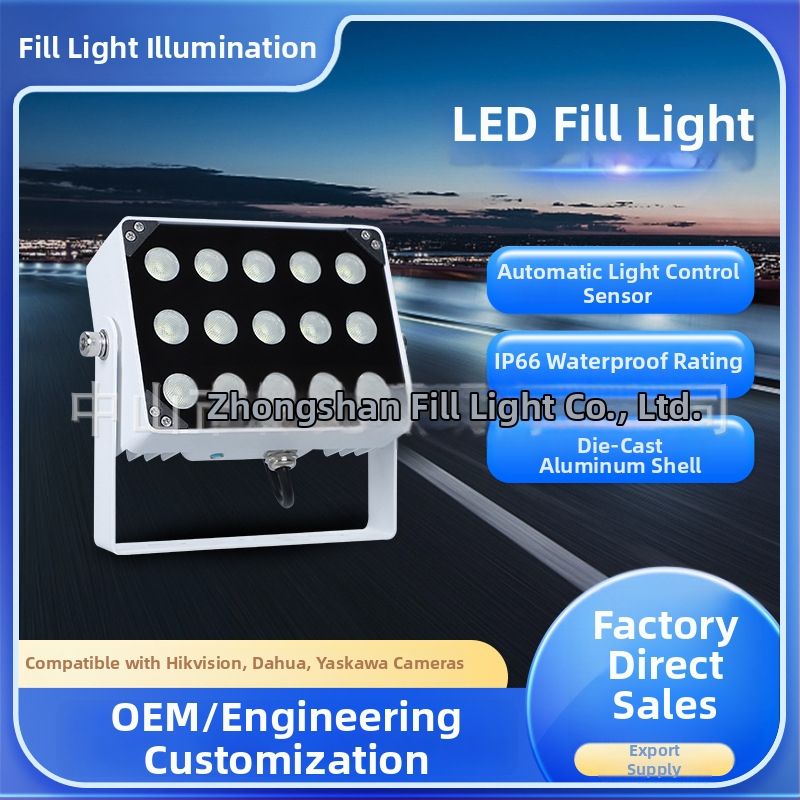 LED stebėjimo šviesa su blyksniu – IP66, 15W, 1950 lm, AC 86-260V, modelis BG-15WBGD-X, skirta eismo stebėsenai ir numerių atpažinimui