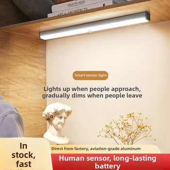 Φωτιστικό LED νυχτερινό με αισθητήρα κίνησης, USB επαναφορτιζόμενο για ντουλάπες, διακόπτης επαγωγής, μοντέρνο μινιμαλιστικό στυλ, διαστάσεις 100-500