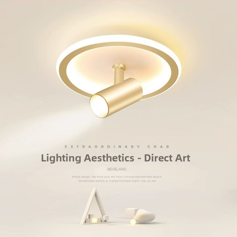 Lubų šviestuvas, šiuolaikiškai minimalistinis LED, paviršinis montavimas, pasukamas spotas, plieno korpusas, PVC gaubtas, 220V, 3C sertifikatas