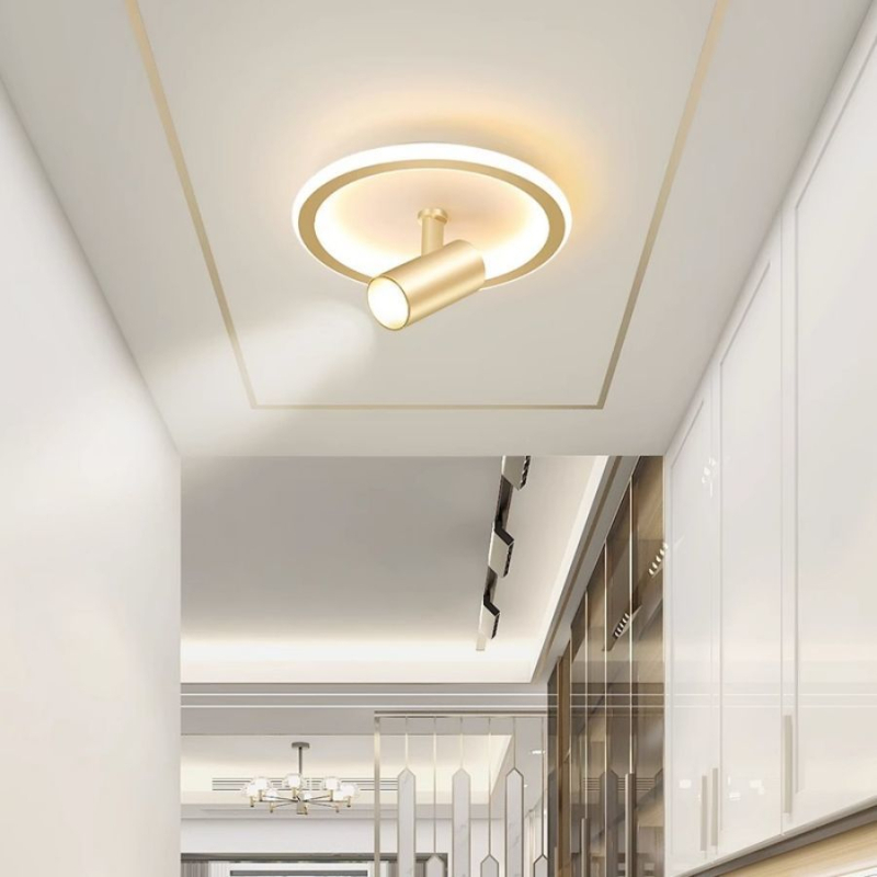 Lubų šviestuvas, šiuolaikiškai minimalistinis LED, paviršinis montavimas, pasukamas spotas, plieno korpusas, PVC gaubtas, 220V, 3C sertifikatas