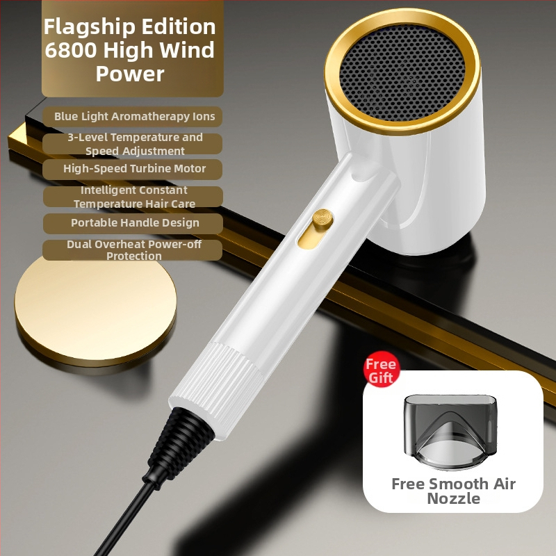 Kućni sušilo za kosu 750W, motor s četkom, 220V, vrući/hladni zrak, negativni ioni