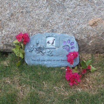 Golden Torch műgyanta kölyökkutya síremléke — dekoratív emléktárgy műgyantából, kartoncsomagolás