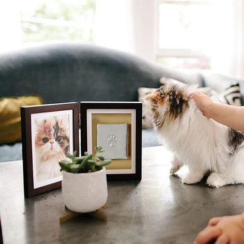 Urnă din lemn pentru animal de companie cu ramă foto, cutie memorială pentru cenușa câinelui, album foto de 2 pagini, imprimare logo, personalizare disponibilă