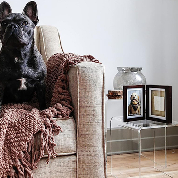 Urnă din lemn pentru animal de companie cu ramă foto, cutie memorială pentru cenușa câinelui, album foto de 2 pagini, imprimare logo, personalizare disponibilă