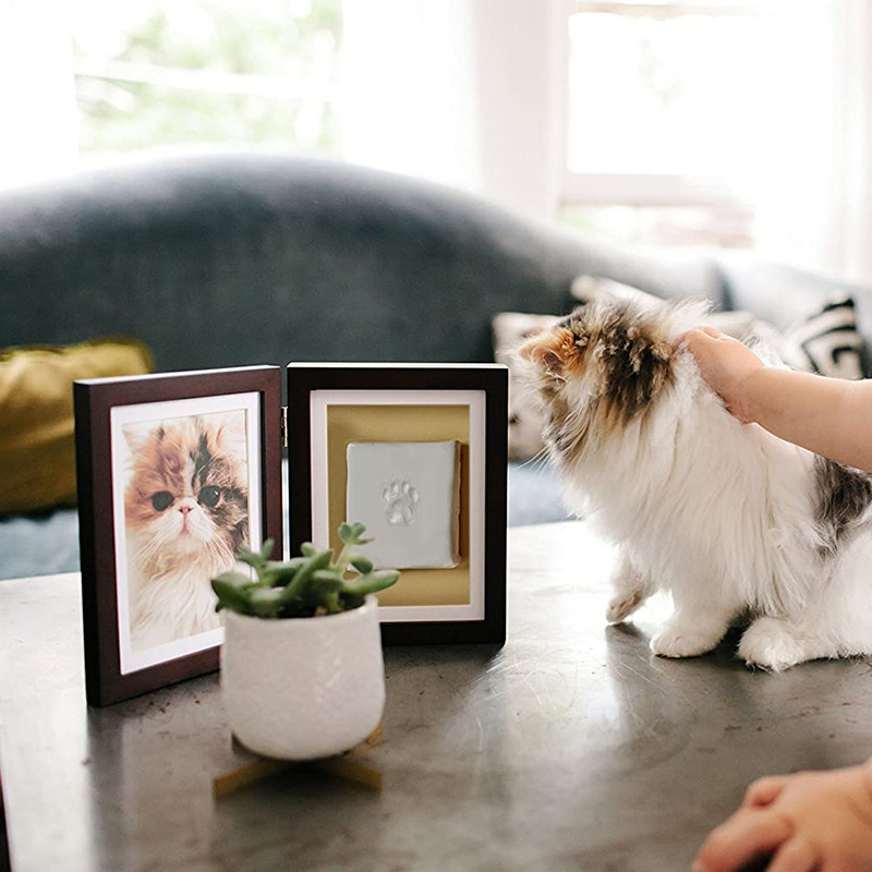 Urnă din lemn pentru animal de companie cu ramă foto, cutie memorială pentru cenușa câinelui, album foto de 2 pagini, imprimare logo, personalizare disponibilă