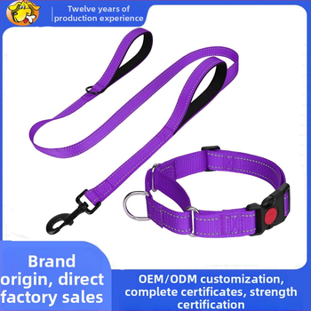 Šunų pavadėlis su rankena ir antkakle, nailonas, neopreno įdėklas, nesukeliantis užspringimo, dideliems šunims