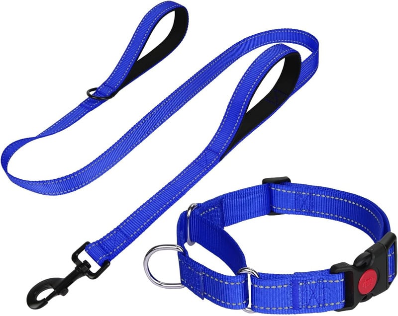 Кучешка каишка с дръжка и комплект нашийник, нейлон, подплата от неопрен, без задушаване, за големи породи