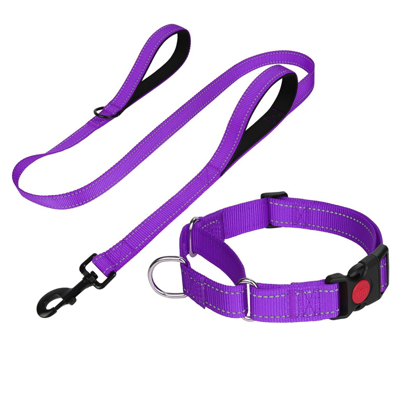 Кучешка каишка с дръжка и комплект нашийник, нейлон, подплата от неопрен, без задушаване, за големи породи