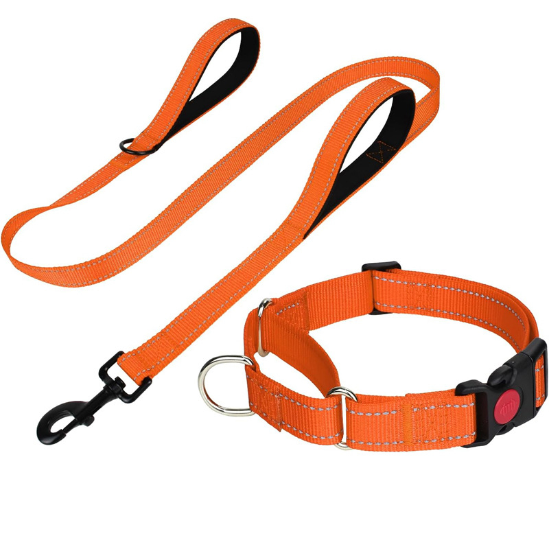 Кучешка каишка с дръжка и комплект нашийник, нейлон, подплата от неопрен, без задушаване, за големи породи