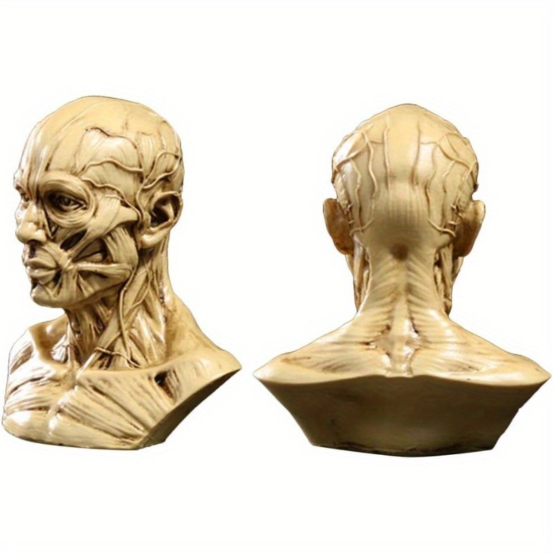 Silikonska kalupa za svijeće i torte – nepravilan oblik ljudske mišićne lubanje, moderni minimalistički stil, Rs1-2600