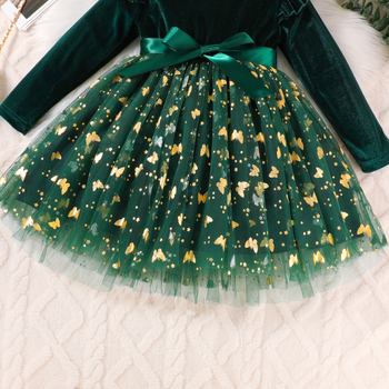 Beebi tüdrukute kleit, kootud võrkkiht, väliskangas ja vooder 100% polüester, pikad varrukad, printsessi lõige, vanus 1–3 aastat, sügis 2025