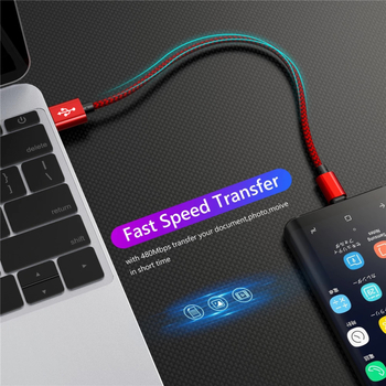 Dragon-Scale greito įkrovimo duomenų kabelis USB-C / Micro USB, aliuminio lydinys, 5V 3A, duomenų perdavimas