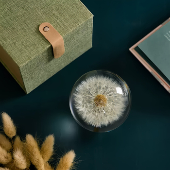 Geometrinis krištolo kamuolys su dandelionu į dervos lęšį, baltas kristalas, šiuolaikinis minimalistinis stilius