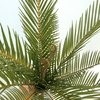 Dirbtinių augalų puokštė | Medžiaga: plastikas; Amatas: stilizavimas ir injekcinis liejimas; Skirta vestuvėms, lauko dekoracijoms, nuotraukų rekvizitams, namų dekoravimui