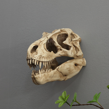 Ρετρό τοίχου διακοσμητικό από ρητίνη: κρανίο δεινοσαύρου για ενυδρείο/τερραριουμ (Κωδικός AMT0601-A; Συσκευασία: χαρτόκουτο)