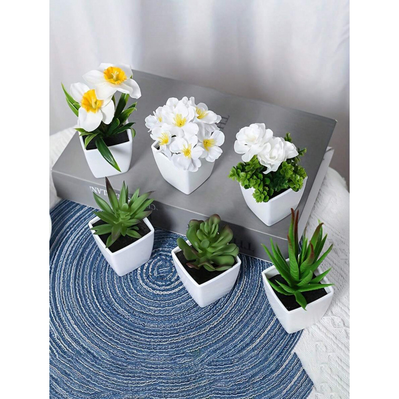 Sukulentne biljke za dom i dnevnu sobu, Marka: Ostalo; Materijal: Ostalo; Obrada: Ostalo; Vrsta: Ostalo