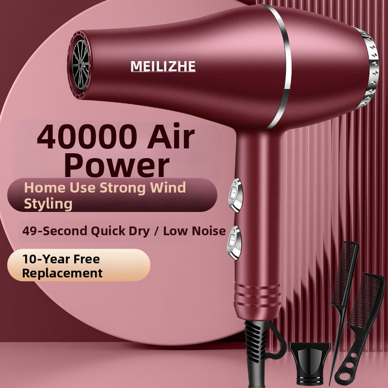 Aukštos galios plaukų džiovintuvas, šepetėlinis variklis, šaltas/karštas oras, 3 greičiai, vienas antgalis, pastovi temperatūros kontrolė