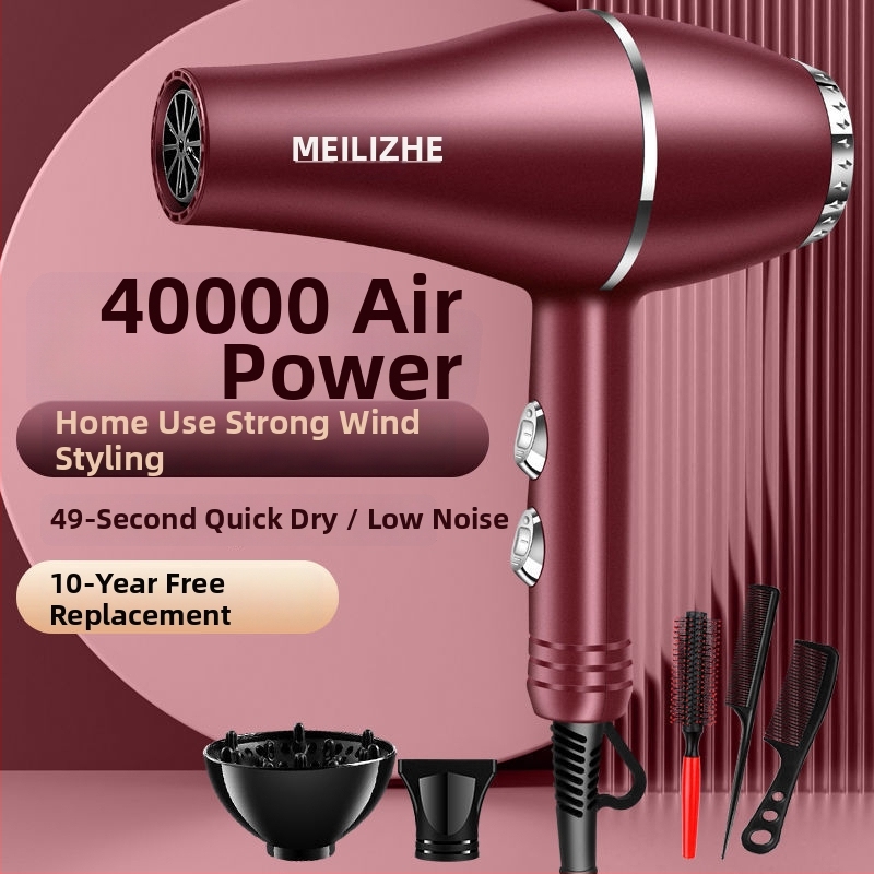 Aukštos galios plaukų džiovintuvas, šepetėlinis variklis, šaltas/karštas oras, 3 greičiai, vienas antgalis, pastovi temperatūros kontrolė