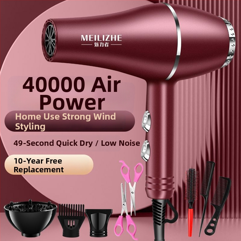 Aukštos galios plaukų džiovintuvas, šepetėlinis variklis, šaltas/karštas oras, 3 greičiai, vienas antgalis, pastovi temperatūros kontrolė