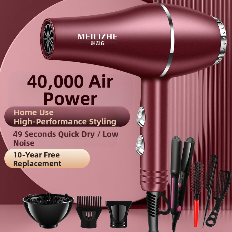 Aukštos galios plaukų džiovintuvas, šepetėlinis variklis, šaltas/karštas oras, 3 greičiai, vienas antgalis, pastovi temperatūros kontrolė