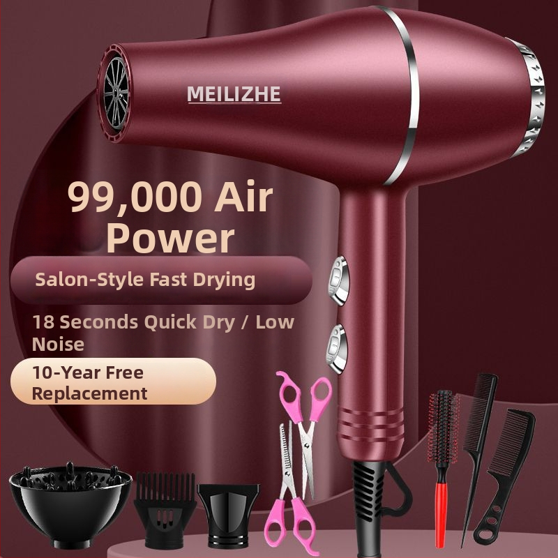 Aukštos galios plaukų džiovintuvas, šepetėlinis variklis, šaltas/karštas oras, 3 greičiai, vienas antgalis, pastovi temperatūros kontrolė