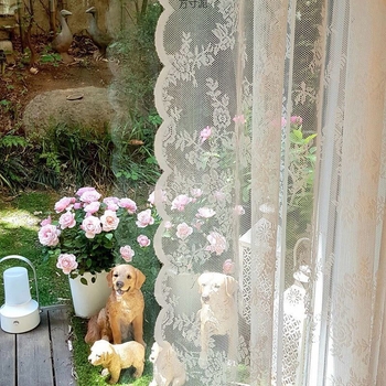 Корейска пасторална дантелено-тюл завеса, прозрачна, модерен минималистичен стил.