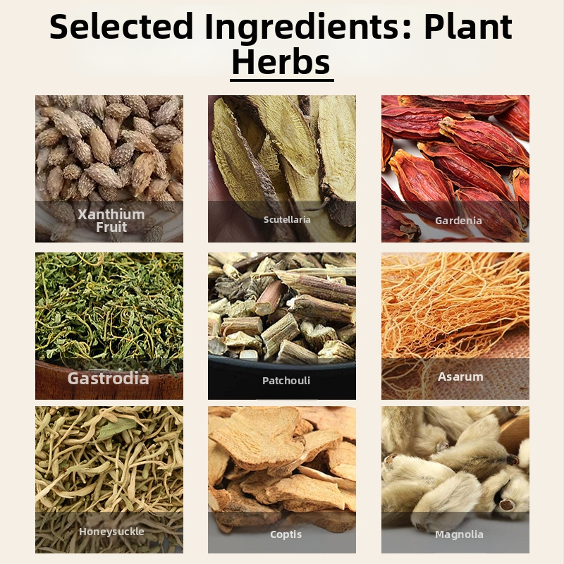 Nosis pleistras su Mugwortu — augalinė nosies priežiūra, 6 pleistrai dėžutėje, pagaminta Nanyang