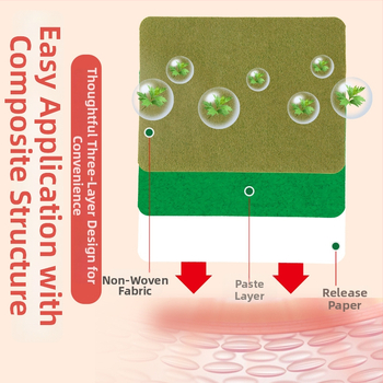 Pelyno nugaros pleistras laikysenos korekcijai — pelyno ekstraktas, skirtas nugarai, modelis Kang Tang Back Patch