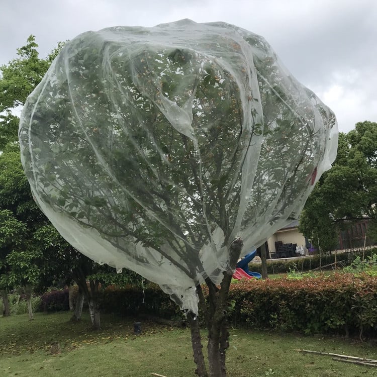 Κάλυμμα δικτύου κατά εντόμων για θερμοκήπια και λαχανικά – υλικό: πολυαιθυλένιο; προστασία από έντομα και ήλιο; μάρκα: Moisturizing circle