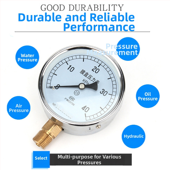Bellows surve mõõtja YE-100, täpsusklass 2.5, kierreühendus