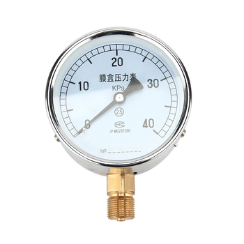 Bellows surve mõõtja YE-100, täpsusklass 2.5, kierreühendus