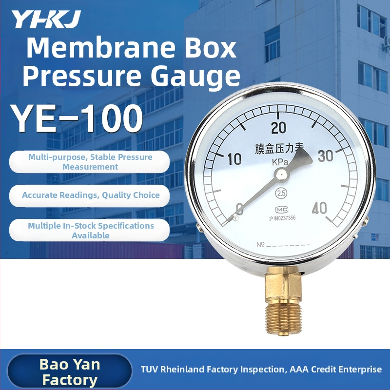 Bellows surve mõõtja YE-100, täpsusklass 2.5, kierreühendus