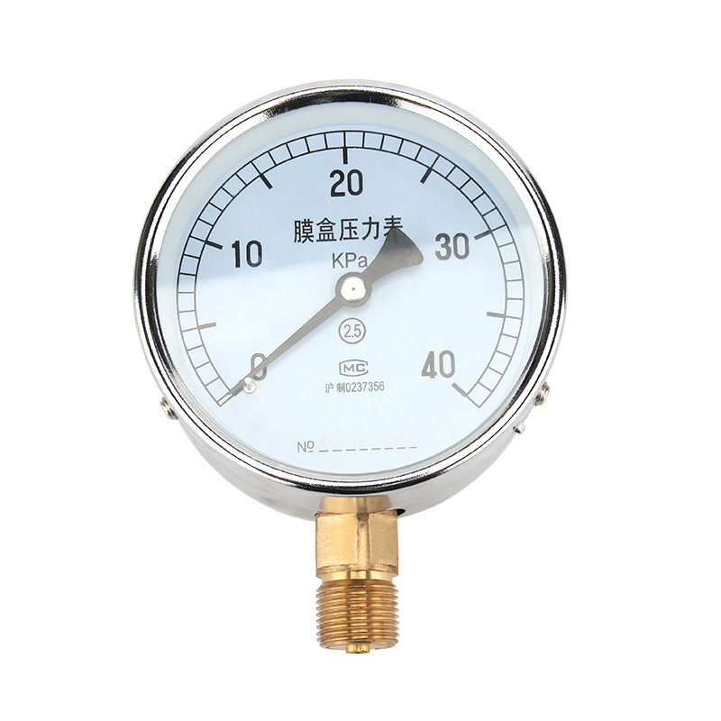 Bellows surve mõõtja YE-100, täpsusklass 2.5, kierreühendus