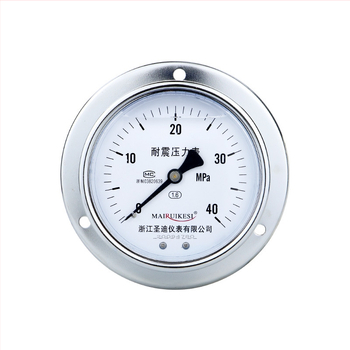 Löögikindel rõhumõõtja YN100ZT, M20×1.5 ühendus, mõõtmisvahemik -0.1 kuni 100, täpsus 1.6