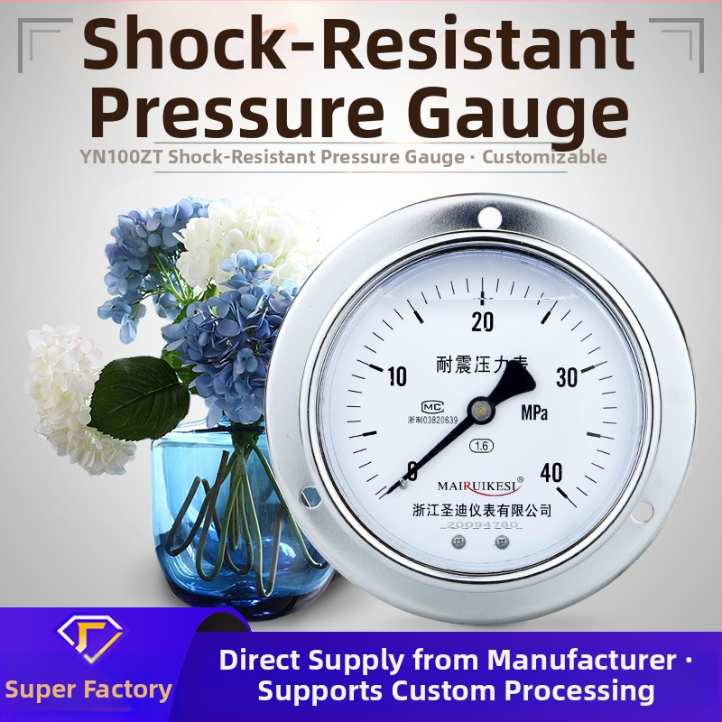 Löögikindel rõhumõõtja YN100ZT, M20×1.5 ühendus, mõõtmisvahemik -0.1 kuni 100, täpsus 1.6