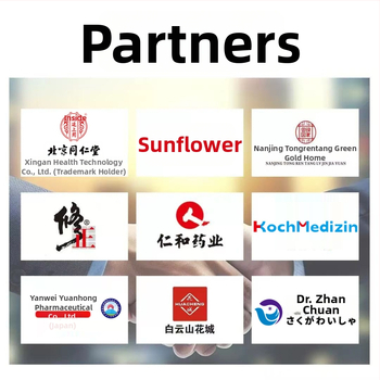 Yokyo dantų karieso purškiklis – savaiminio taisymo užpildymo pasta, žolelių kvapas, universalus naudojimas