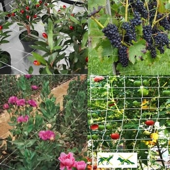 Poliesterska kvadratna mreža za uzgoj penjačkih biljaka