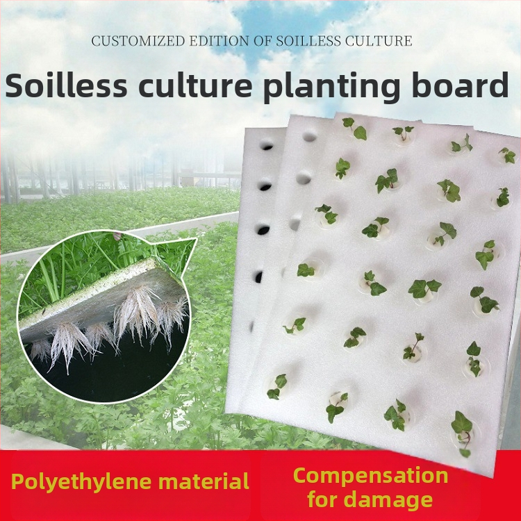 Plūduriuojanti hidroponinė sodinimo plokštelė vandens augalų auginimui | medžiaga: polietilenas | sodo dekoratyvinis daiktas