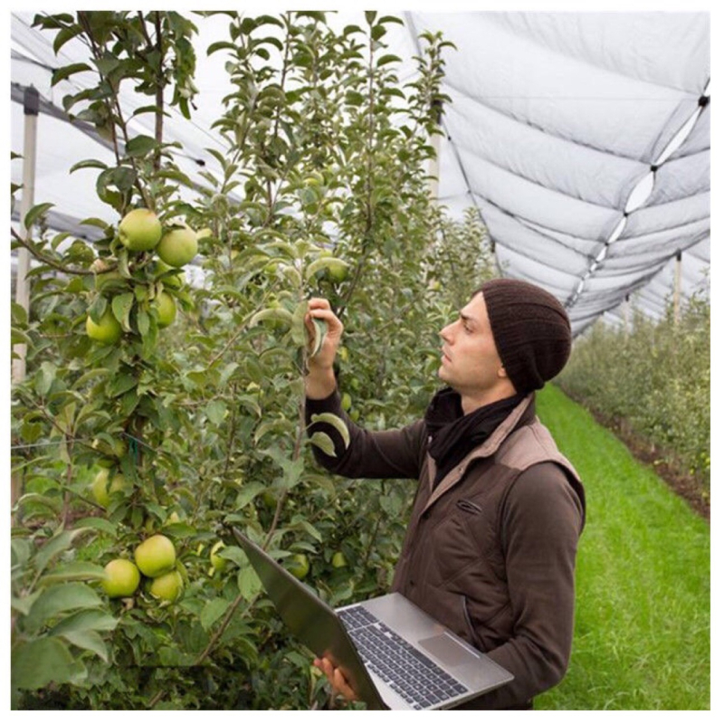 Xitong Nailoninis tinklas prieš paukščius vaismedžiams ir vynuogynui, žemės ūkiui ir akvakultūrai