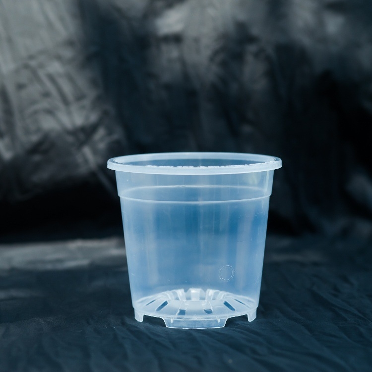 Саксия за цветя Phalaenopsis от смола — прозрачна и здрава, подова употреба, прост стил, подходяща за домашно градинарство и балкон, с интегрирана технология.