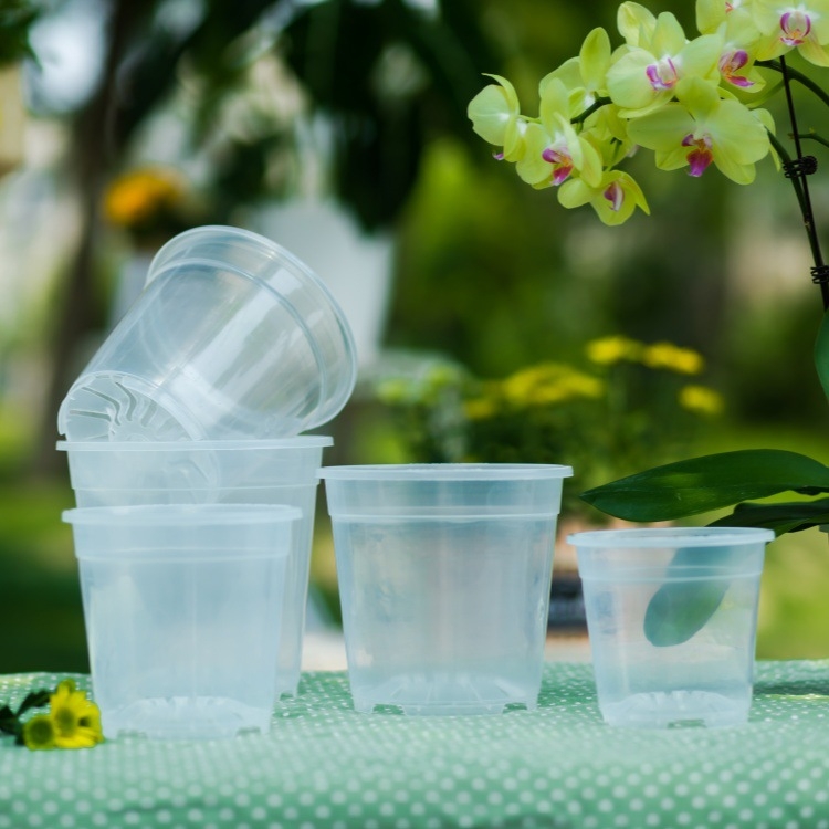 Саксия за цветя Phalaenopsis от смола — прозрачна и здрава, подова употреба, прост стил, подходяща за домашно градинарство и балкон, с интегрирана технология.