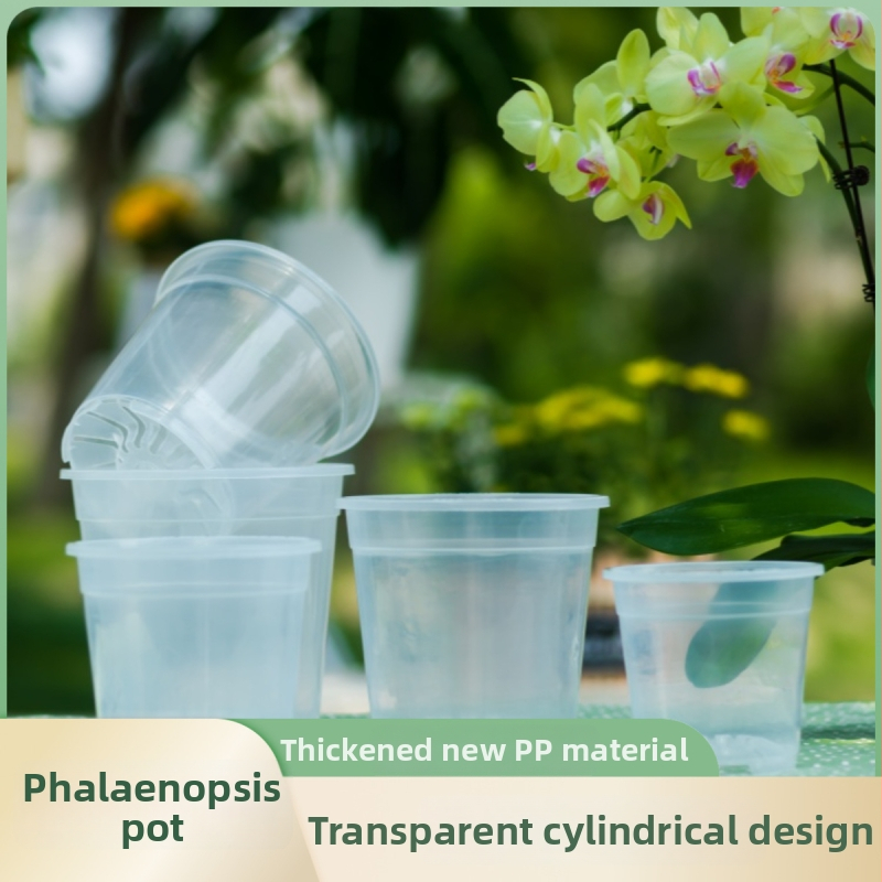 Phalaenopsis orchidėjų vazonas iš dervos — skaidrus ir patvarus, skirtas pastatyti ant grindų, paprastas stilius, tinkamas namų sode ir balkono, su integruota technologija.